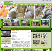 清遠(yuǎn)營銷型網(wǎng)站建設(shè)公司哪家好