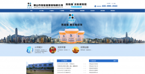 清遠(yuǎn)營銷型網(wǎng)站建設(shè)公司哪家好